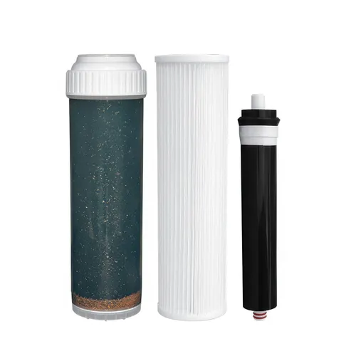 RO membrane replacement